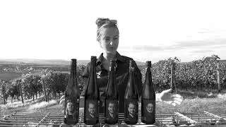 VinVenture Weinpakete - Riesling