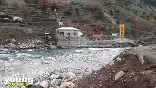 Ponkiya, پونکیا || young torwalis