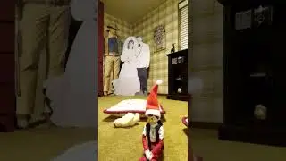 Naked Peter Griffin Destroy A Nice Pillow Room!!