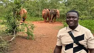 A VISIT TO KAKUM NATIONAL PARK 1