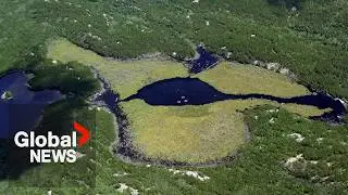 Why scientists are dumping microplastics into Ontario's Experimental Lakes Area