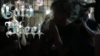 COLD STEEL @ Born Free Pub & Grill - 9/19/2023