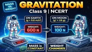 GRAVITATION ⚖️ | Class 9 NCERT Science | Full Chapter in One Video 🚀