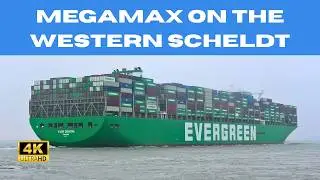 400m megamax on a stormy Western Scheldt 4K Shipspotting