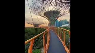 Singapore becomes Most clean city in world 🌍 #singapore #clean