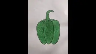 How to draw capsicum Drawing for kids || easy vegetable  drawing step by step..