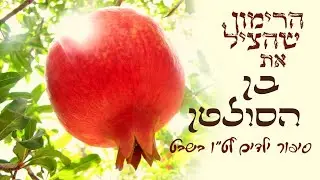 סדר ט