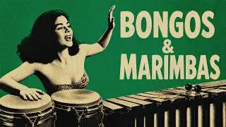 ＢＯＮＧＯＳ ＆ ＭＡＲＩＭＢＡＳ • Vintage Lounge & Retro Jazz Vol.1 | Cocktail bar music