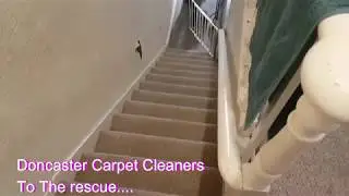 Doncaster carpet cleaning services