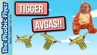 Flight with Another Pilot with a Bouncy Landing!