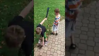 Skippy and dink collecting pine cones