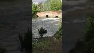 Hellesdon mill, fast flowing water, surrounded by trees