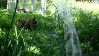 SDC15055.AVI