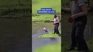 Dog pulling owner down 😂😂#dog #dogs #doglover #cutedog #funnyvideo #funnydog#doglife #funny#happy