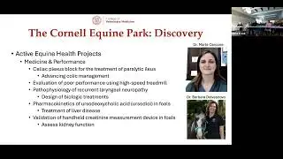 The Cornell Equine Park: Discovery, Care, and Breeding for Excellence, May 2025