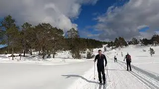 Ski Run Time Laps -  Bymarka, Trondheim (Norway)