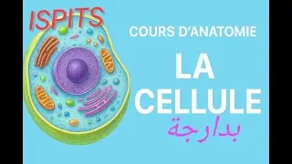 Cours d&rsquo;anatomie &ndash; La cellule (pour &eacute;tudiants en m&eacute;decine, soins infirmiers ispits et biologie)