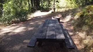 Madrone Group Camp Barnabe Trail Cabins San Fransisco California
