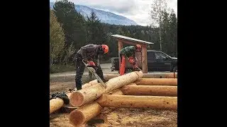 Full Scribe Log Building Course with the BC log school. #logbuilding #logcabin #buildacabin #loghome