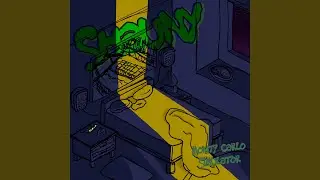 Monty Carlo Simulator