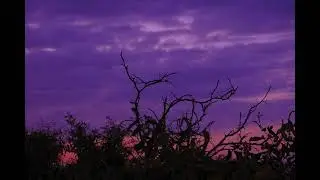 [FREE FOR PROFIT] *dark* Johnny Cash + Country + Folk type beat 