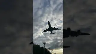 Cargolux Boeing 747-8F Landing in Luxembourg