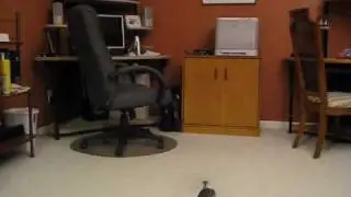 MADHAWK 300 First Flight