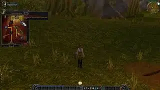 Vanilla WoW Beta Warrior Talents! (2004 Beta)