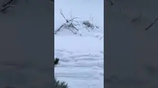 Языческая Криптомесса от КриптоБатюшки! 😂