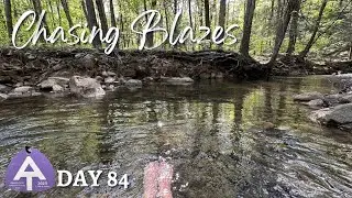 Mojo Monday -Day 84