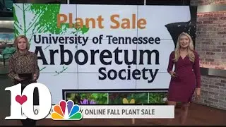 UT Arboretum host online plant sale