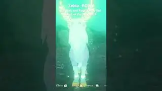 Zelda BOTW Taming and  NOT Registering The Lord of the Mountain
