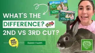 2nd vs 3rd Cutting Timothy Hay For Rabbits: What's The Difference?