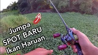Mencuba SPOT BARU Casting Haruan!!
