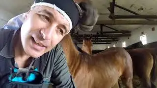 DESCALECATI IN CARPATI - Colt de rai cunatura si cai / Editia 05, Sezon 3/ din 10.02.2019