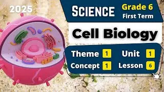 Cell Biology | Grade 6 | Unit 1 - Concept 1 - Lesson 6 | Science