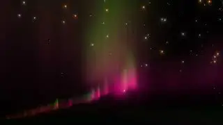 Tineidae - Temple of Stars (Official Audio)