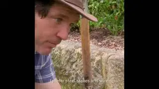 THE HOBART WEAVE- Tomato planting and staking//The Urban Farmer