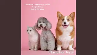 Relax Country Mood (feat. Dog's Music & The Feline Composer's Series)