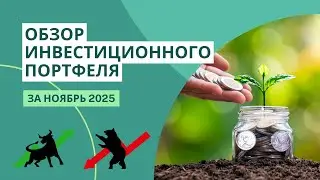 My portfolio update on November 2025