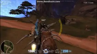 Brontodon rodeo