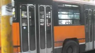 BredaBus 2001.12 - 6093 AMTAB Bari