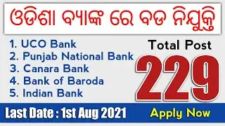 Odisha Bank Recruitment 2021 | Total Post- 229 | Apply Now | All Odisha Bank Job | Odisha Bank Job