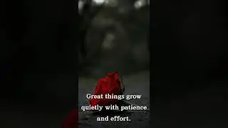 🔥 Best Quotes Collection &ndash; Motivation, Life, Success, Love & More! 💡