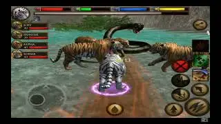 ultimate jungle simulator tiger vs giant anaconda boss 💀