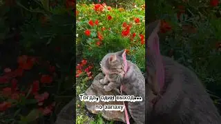 1 сентября #цветы# вместе весело шагать #выбор