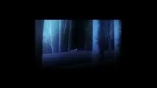 StiM - Достучаться до небес [SvetaMrak] Anime High School DxD AMV