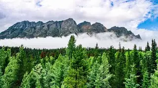 Peaceful Relaxing Music - Non Stop Piano Music With Soulful Melody