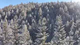 Droning Fraser Meadows