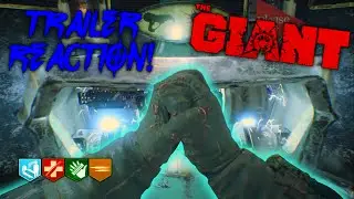 BO3 - 